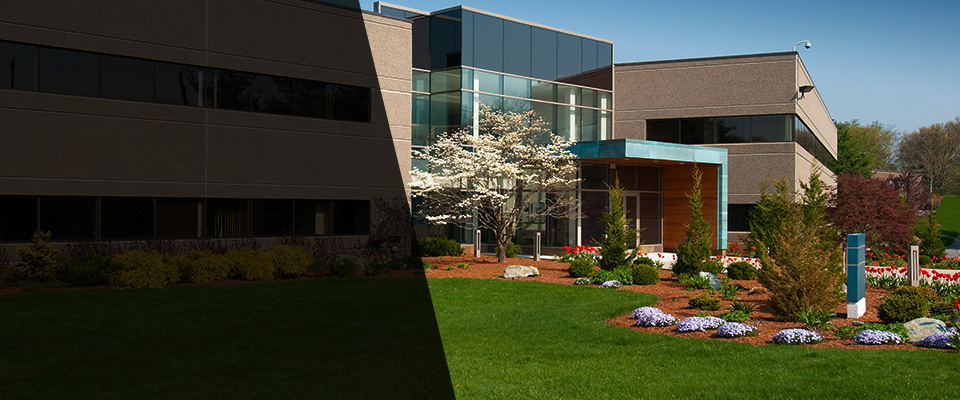 Willow Springs Landscapers