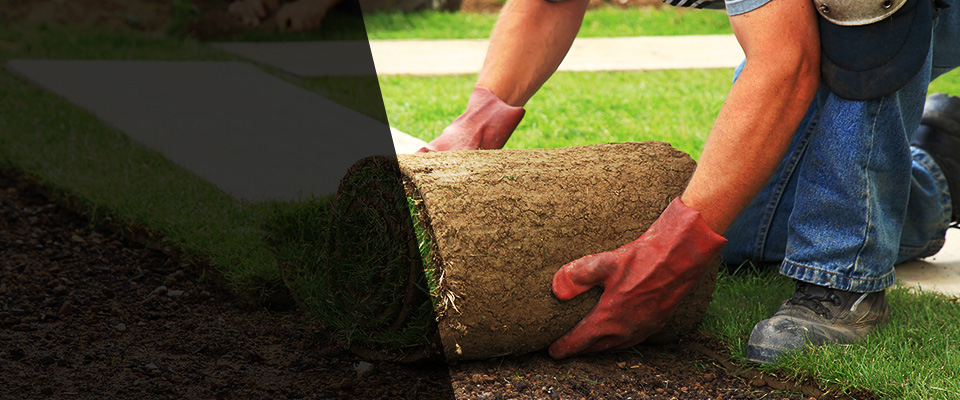 Willow Springs Landscapers